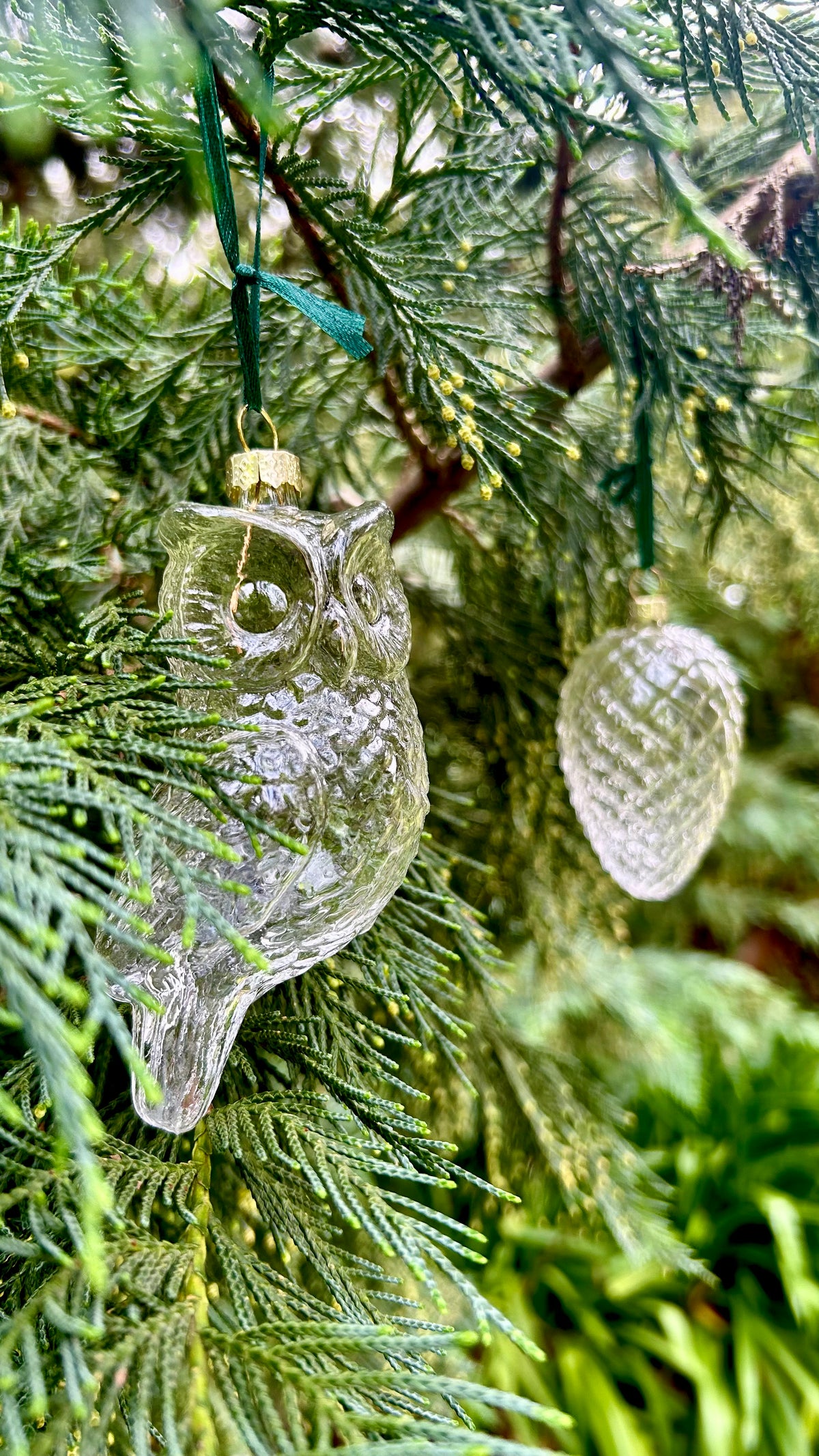 5 Pieces x DIY Paintable Fillable Christmas Decoration Glass Ornaments 110*50mm