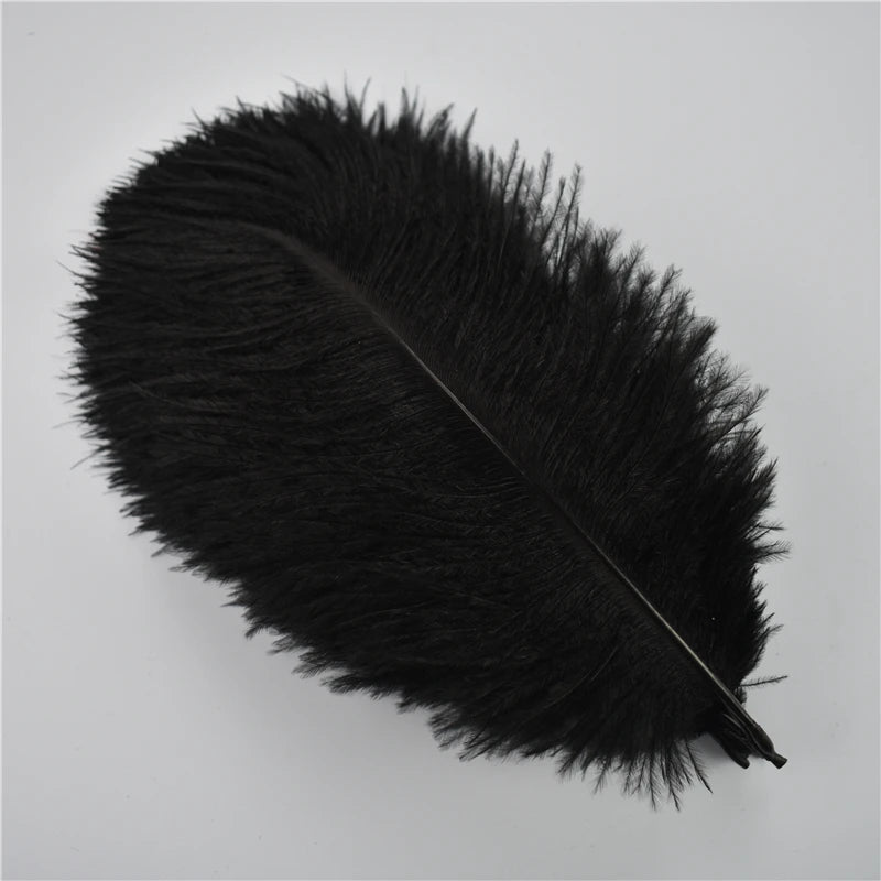 Ten Dyed 15-20cm Ostrich Feathers Plumes DIY Crafts