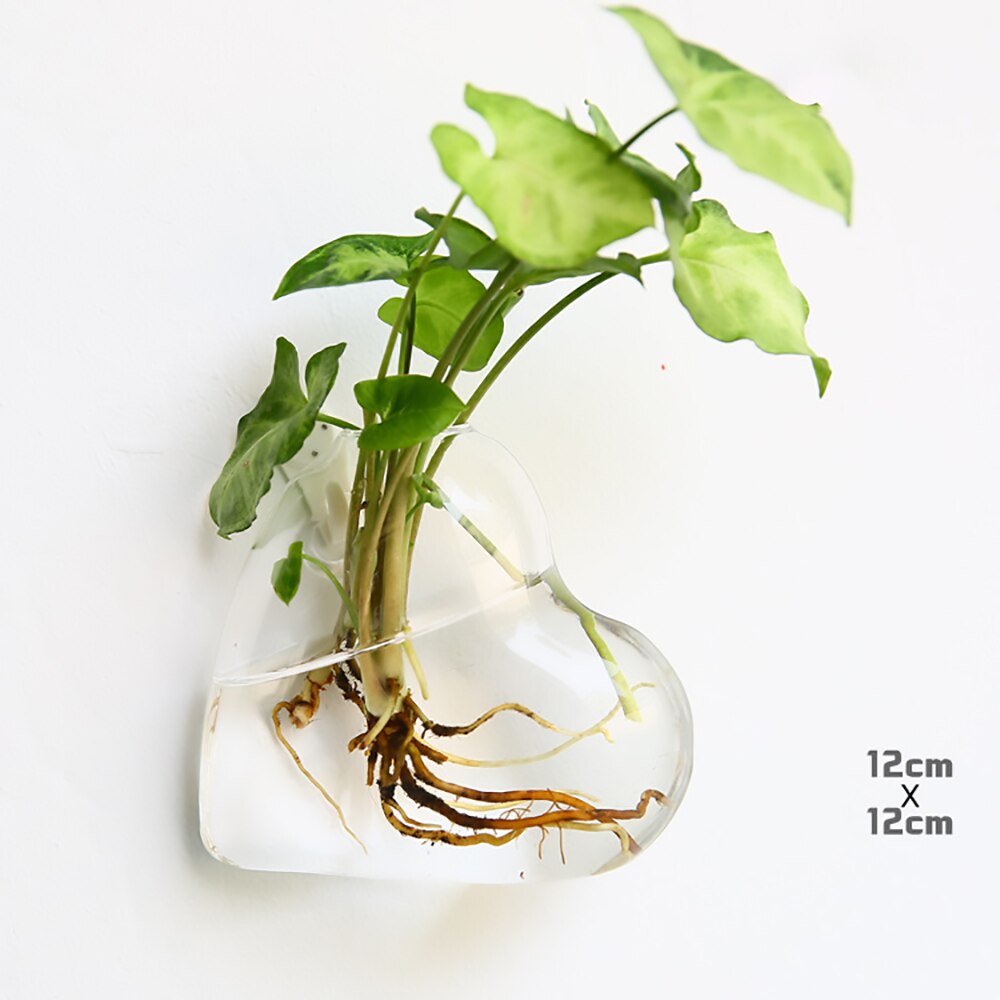 Glass Water Plant Wall Vases