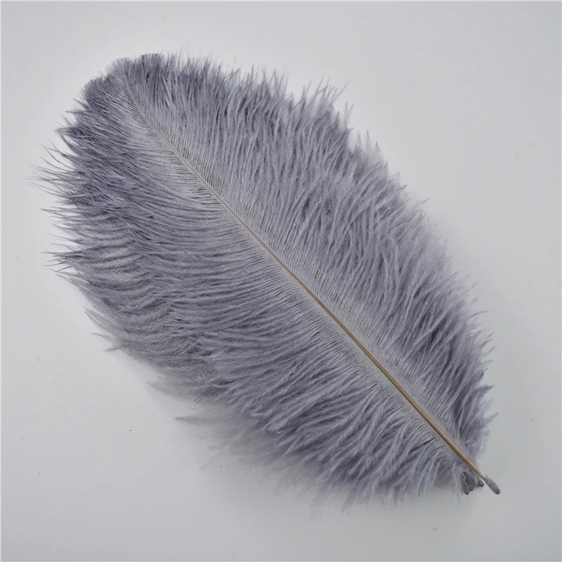 Ten Dyed 15-20cm Ostrich Feathers Plumes DIY Crafts