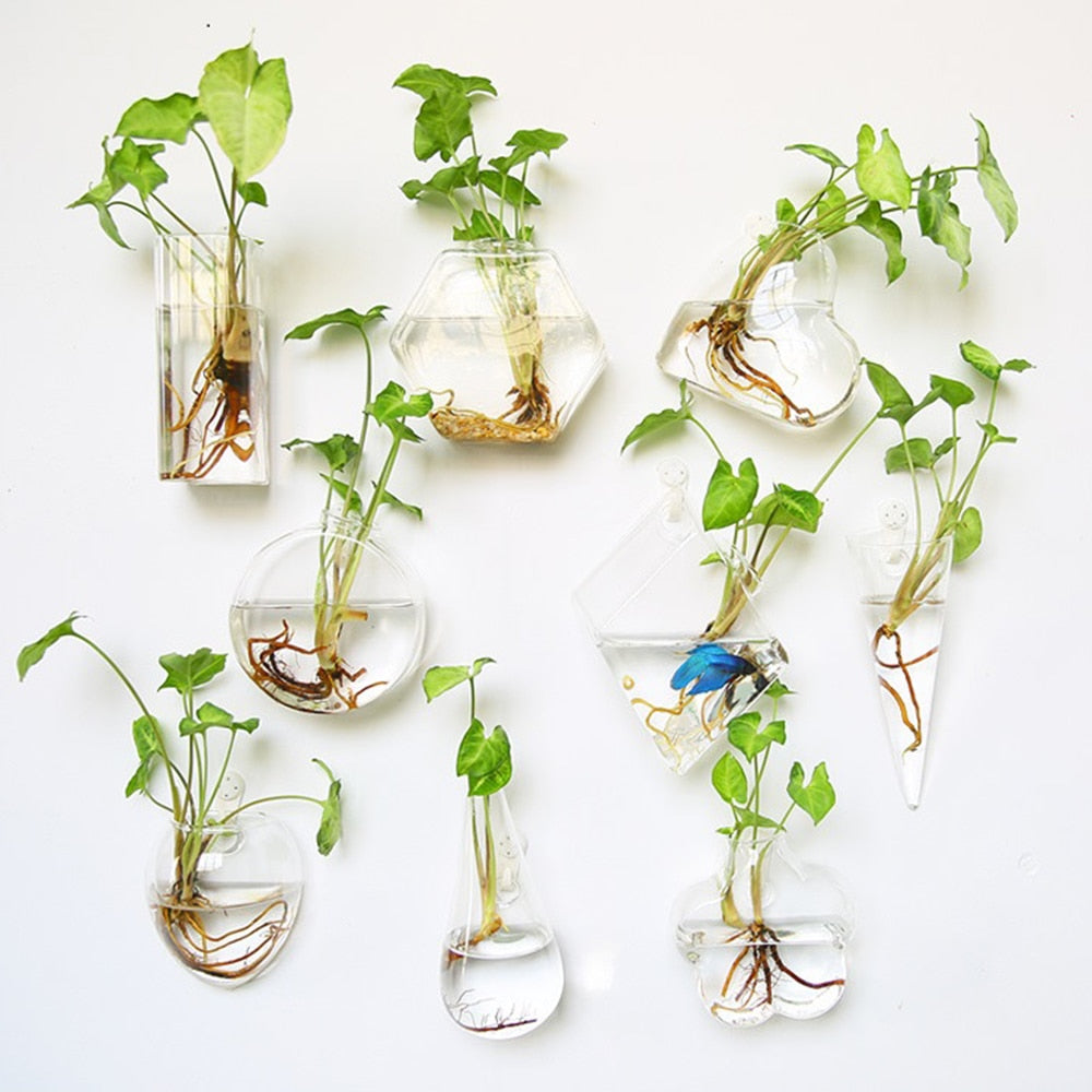 Glass Water Plant Wall Vases