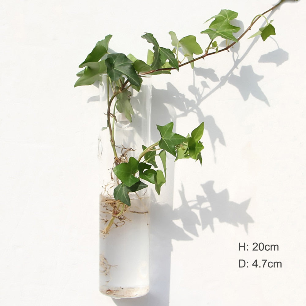 Glass Water Plant Wall Vases