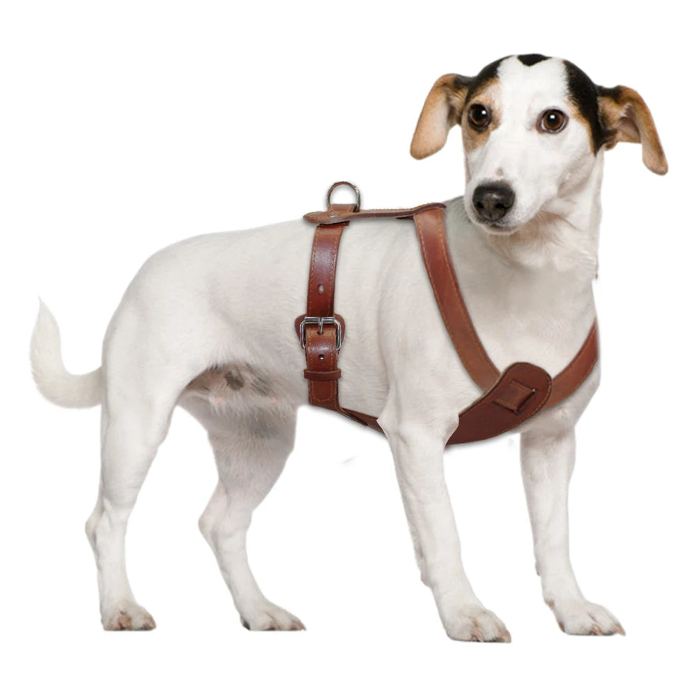 Genuine Leather Dog Harness Brown Real Leather Adjustable Straps Medieval Cosplay