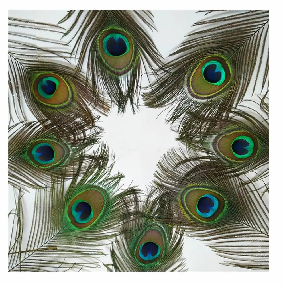 10Pcs Natural Peacock Feathers 25-30CM/10-12inch Feathers for Crafts and Decoration