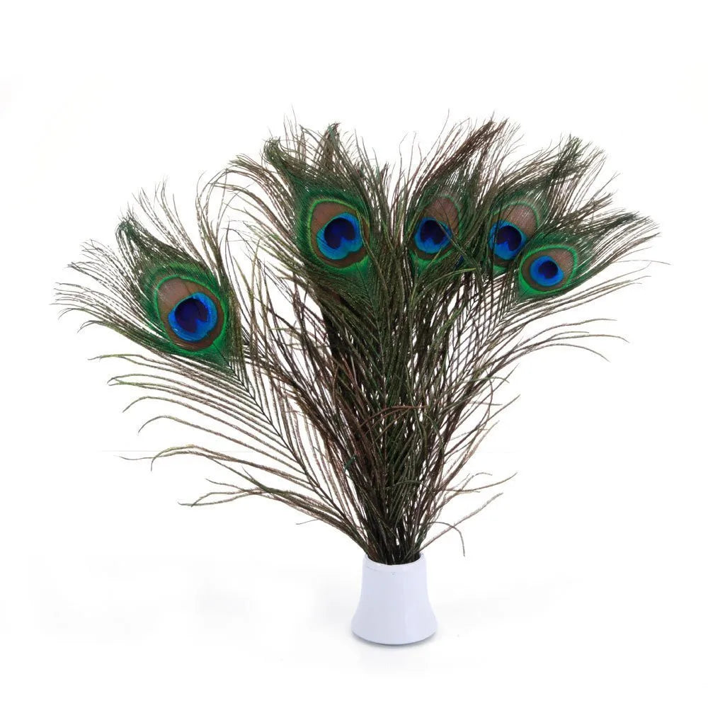 10Pcs Natural Peacock Feathers 25-30CM/10-12inch Feathers for Crafts and Decoration