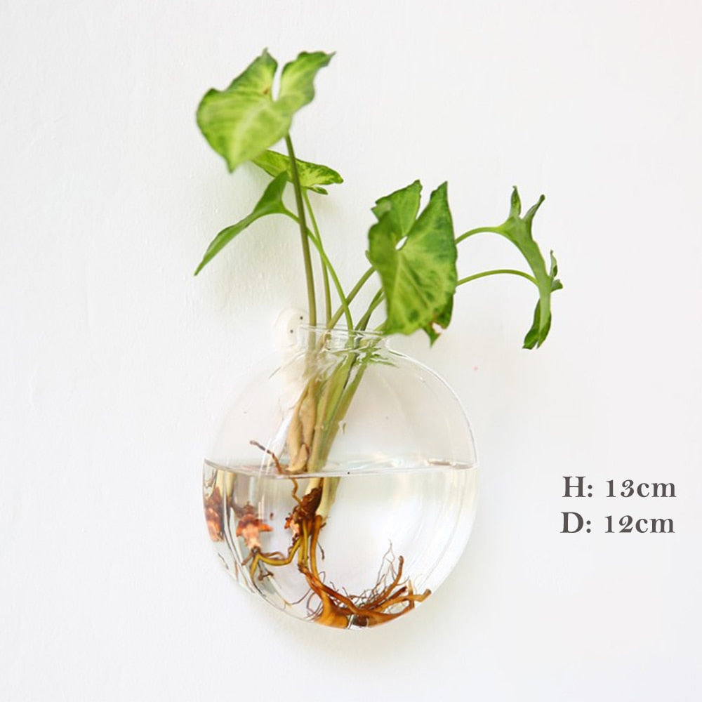 Glass Water Plant Wall Vases