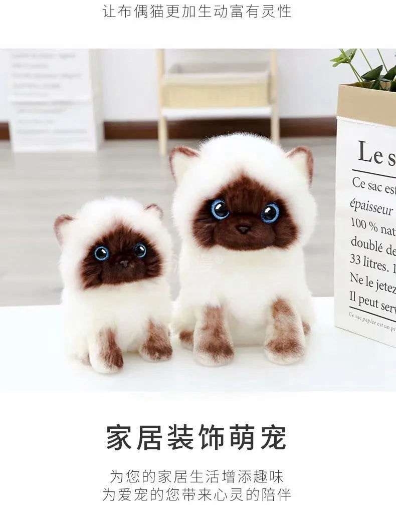 Siamese Cats Plush Toys