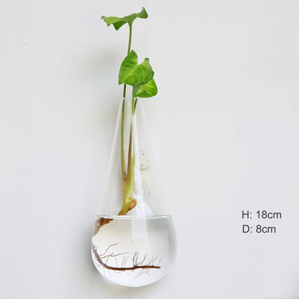 Glass Water Plant Wall Vases