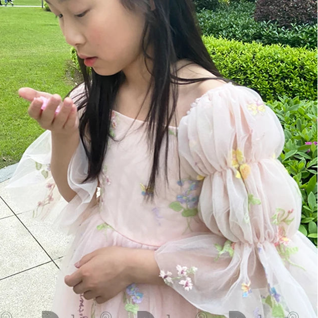 Fairy Faith's Baby Toddler Girls Birthday Dress Embroidered Butterfly Flower Girls Dress