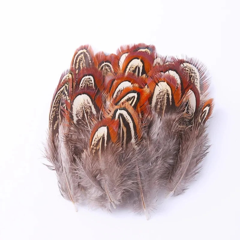 100Pcs Pheasant Chicken Feathers for DIY Crafts