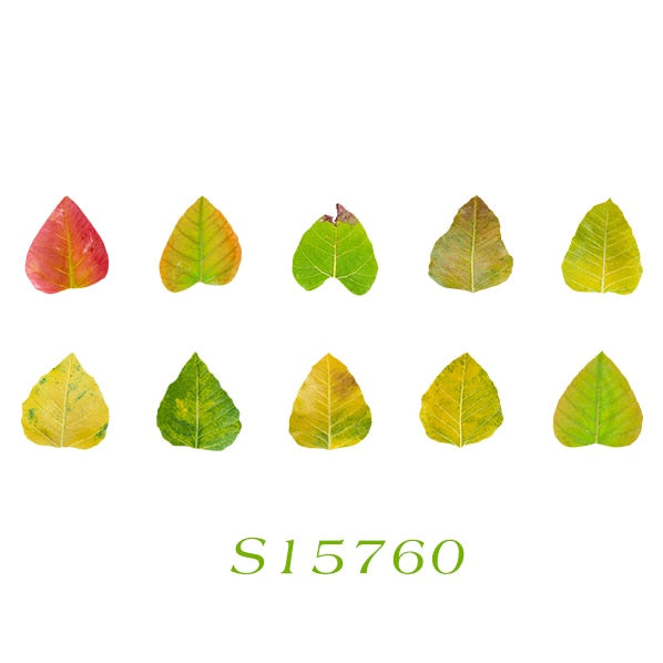 Fallen Leaves Stickers Washi Tape