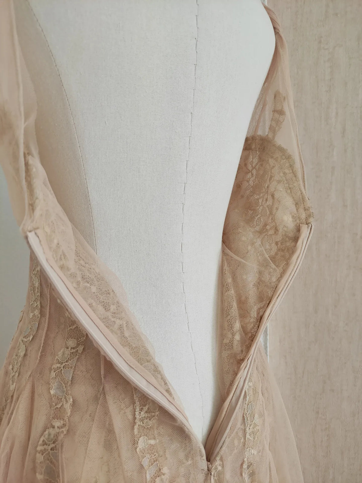 Sylvie's French Lace Embroidered Mesh Evening Dress