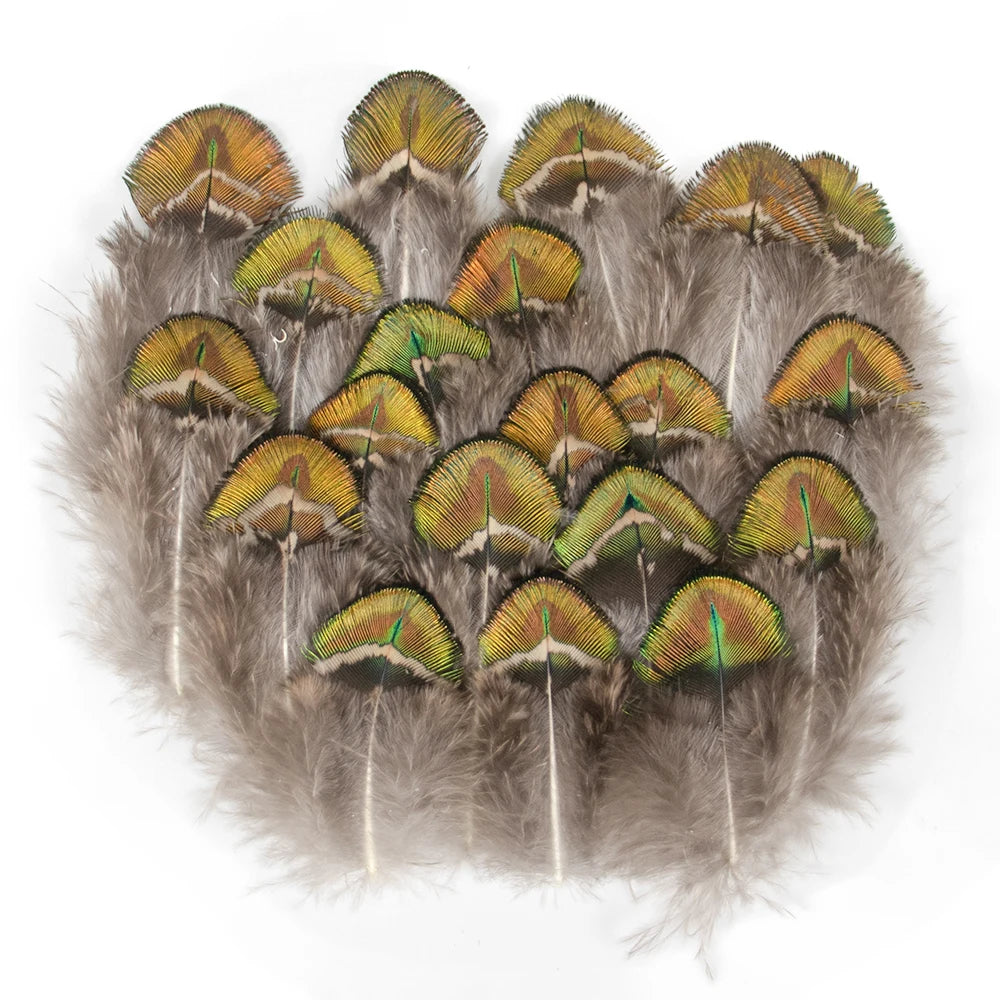 Peacock Feathers DIY Crafts 10/20/50/100PCS