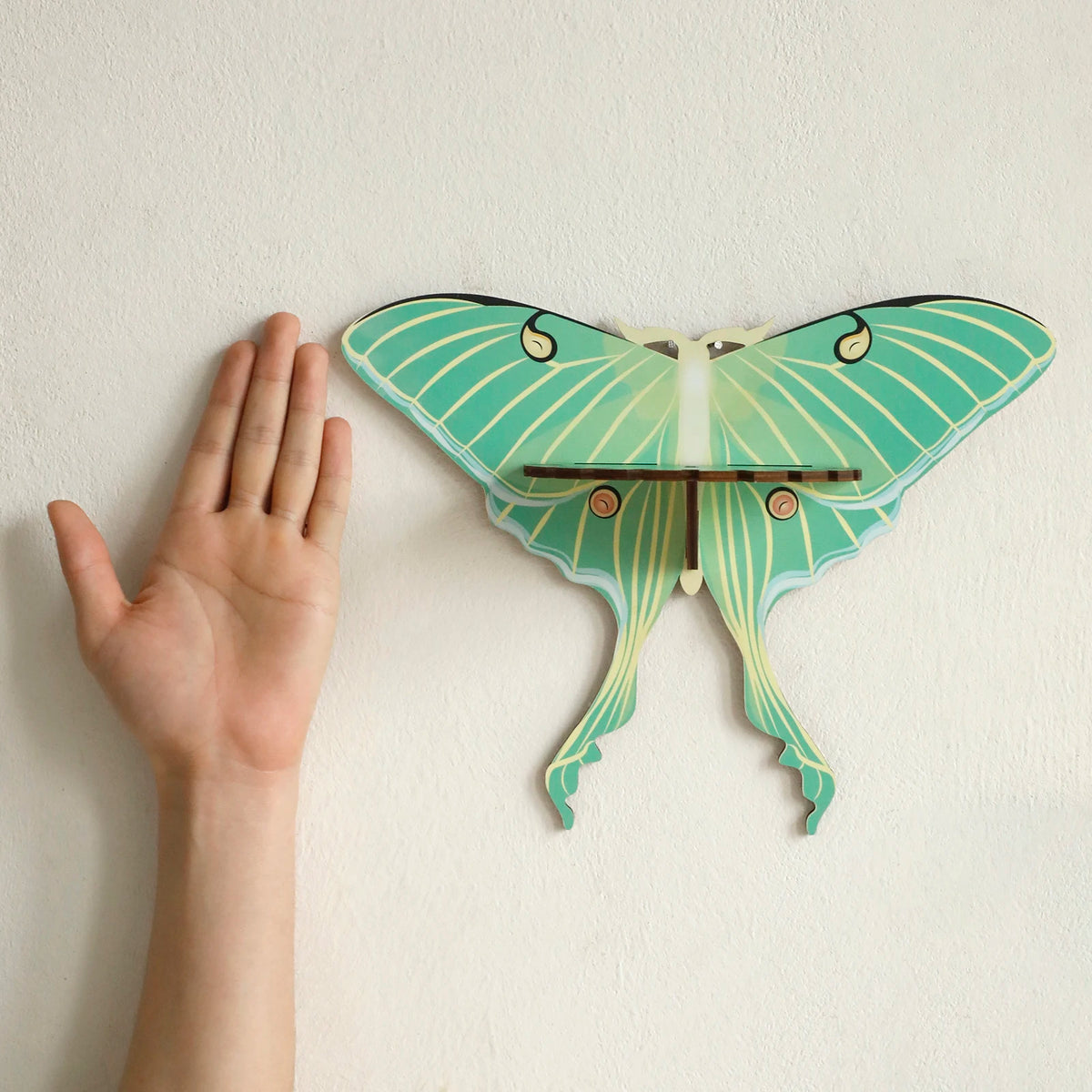 Luna Moth Necklace Display Wooden Floating Shelves Boho Home Decoration