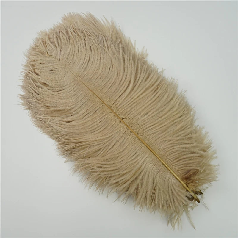 10Pcs/Lot Ostrich Feathers 30-50cm DIY Crafts