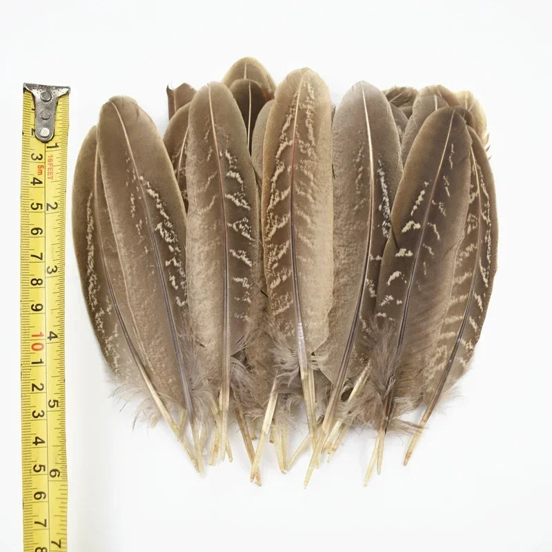 Natural Pheasant Feathers DIY Crafts Decor