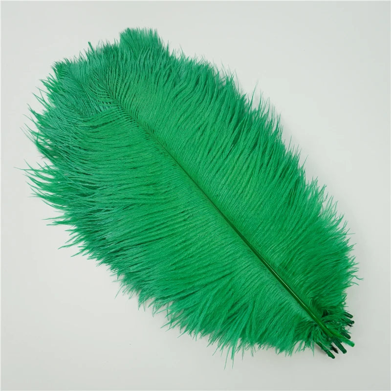 10Pcs/Lot Ostrich Feathers 30-50cm DIY Crafts