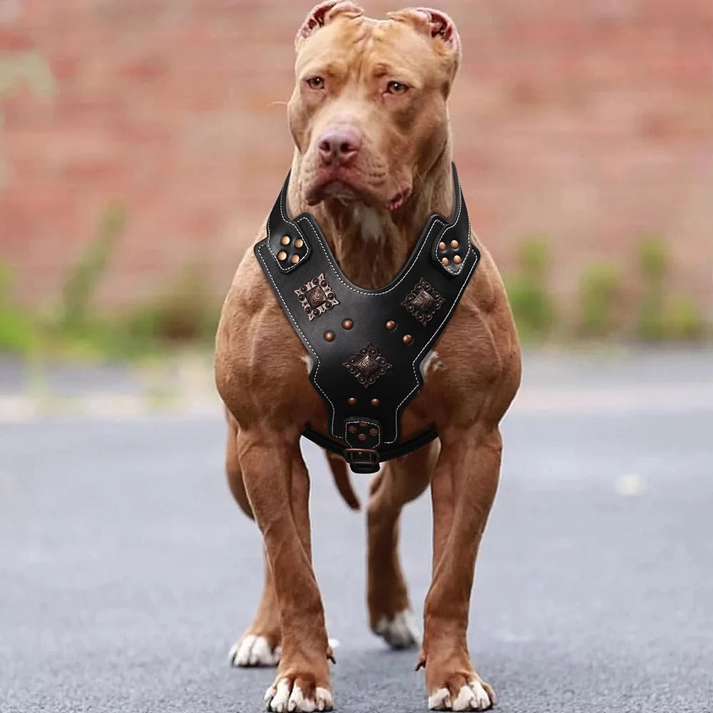 Genuine Leather Dog Harness Durable Large Dogs Riveted Pet Vest With Metal Accessories Medieval Cosplay