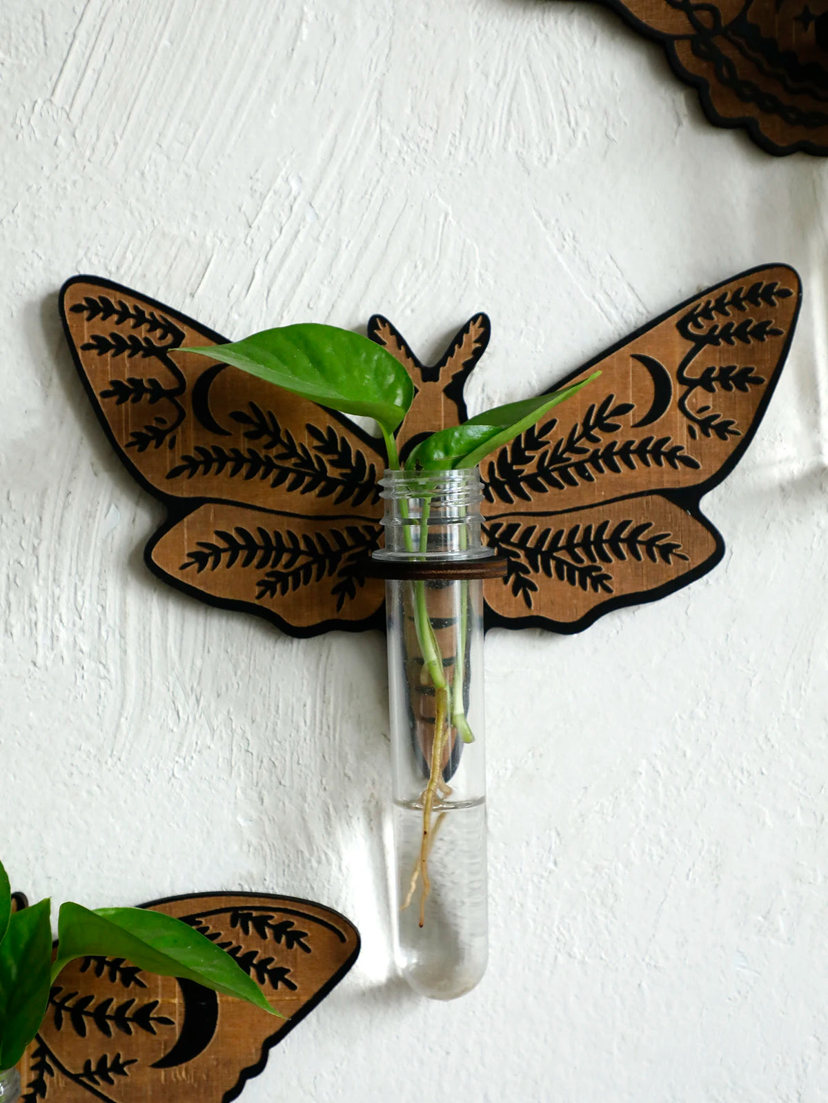 Butterfly Wall-Mounted Propagation Station Wooden Hanging Plant Holder with Plastic Tubes for Indoor Plants