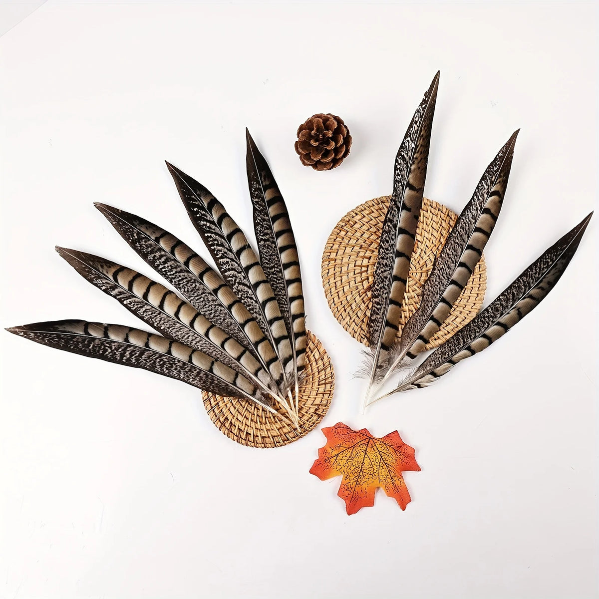 Natural Ringneck Pheasant Tail Feathers 6-18 Inches DIY Handmade Crafts