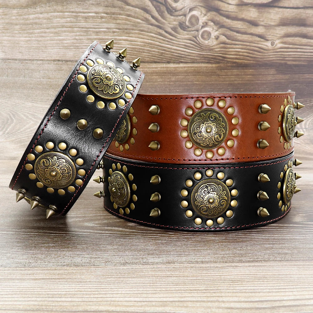 Genuine Leather Dog Collar 2inch Wide Rivets and Spikes Medieval Cosplay