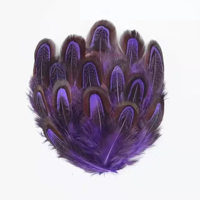 100Pcs Pheasant Chicken Feathers for DIY Crafts