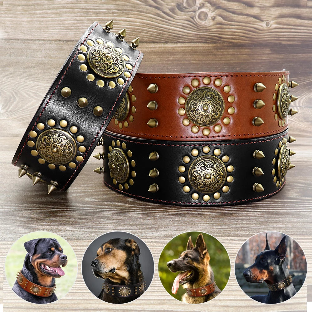 Genuine Leather Dog Collar 2inch Wide Rivets and Spikes Medieval Cosplay