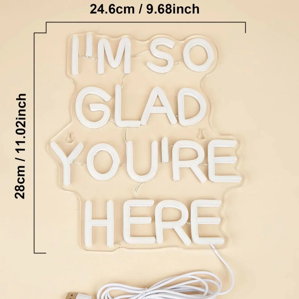 LED Neon l'm So Glad You're Here USB Powered Signs Night Light Wall Art