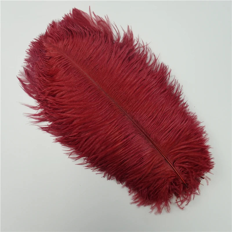 10Pcs/Lot Ostrich Feathers 30-50cm DIY Crafts