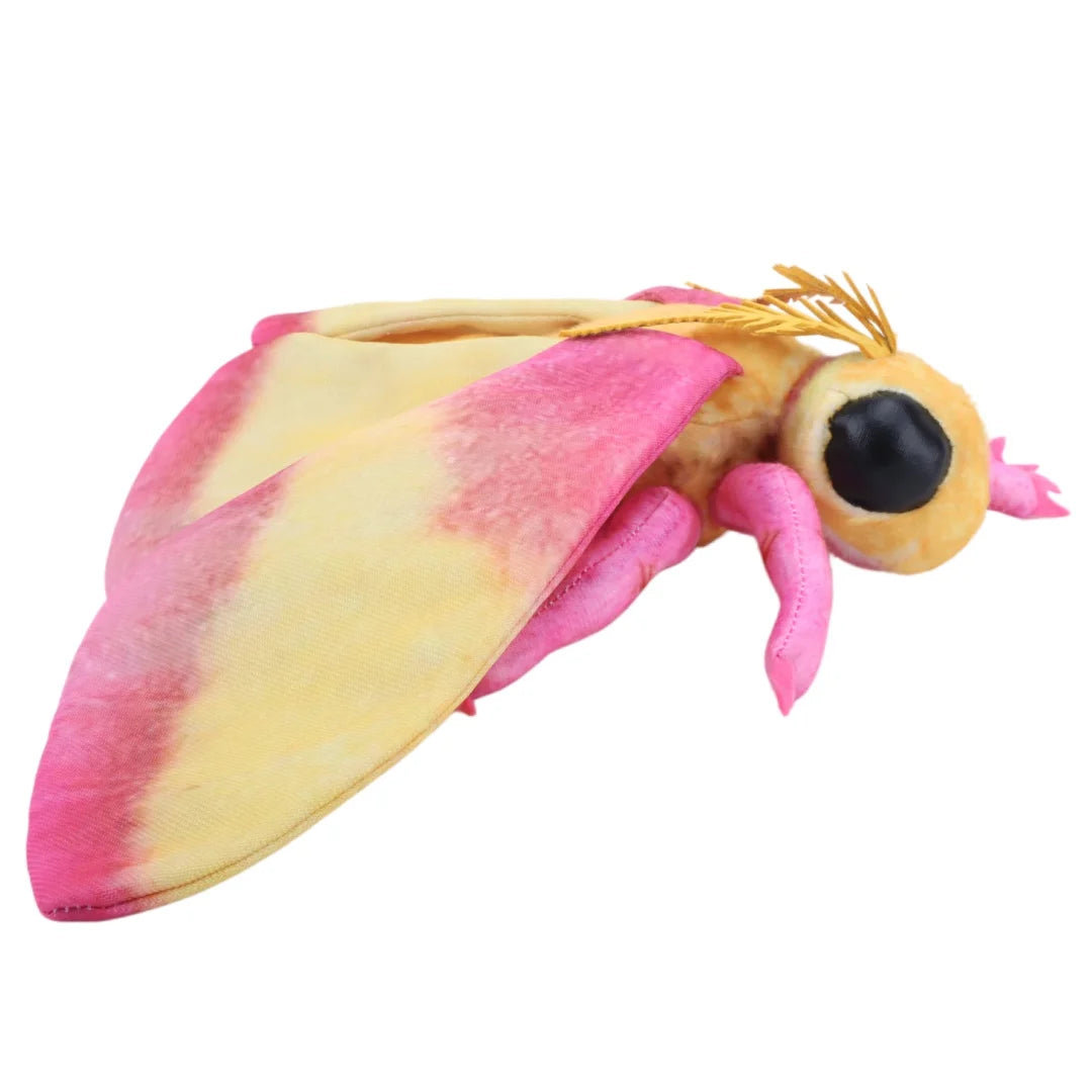 Cute Luna Moth and Rosy Maple Moth Plush Toys Soft Stuffed Animal Plushie for Insect Lovers Gift Idea