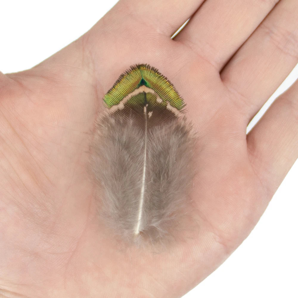 Peacock Feathers DIY Crafts 10/20/50/100PCS