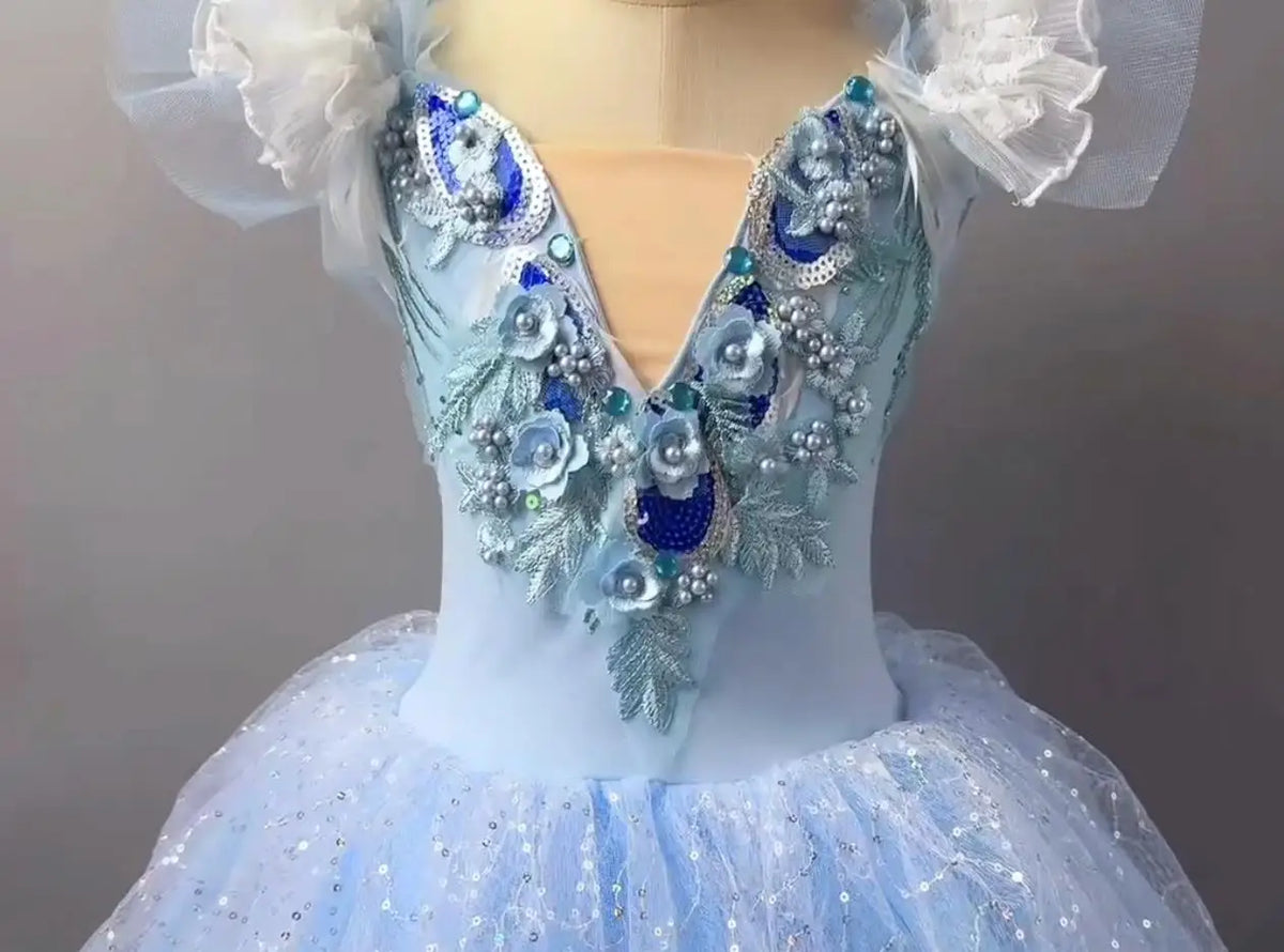 Long Ballet Tutu Dress Dance Performance Dress