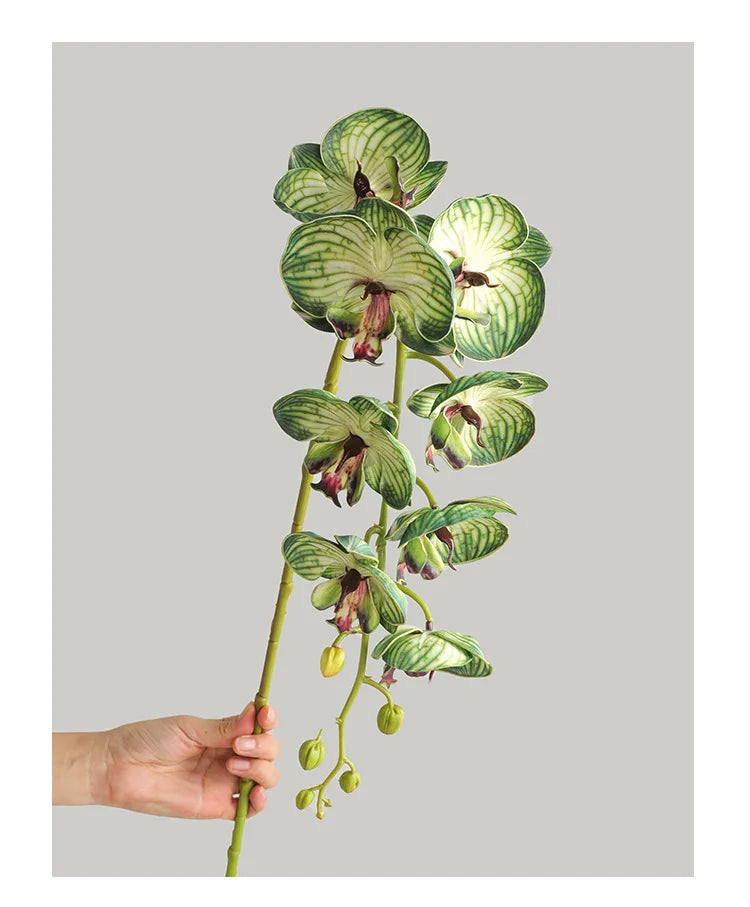 1 Stem Artificial Moth Orchid Butterfly Flower