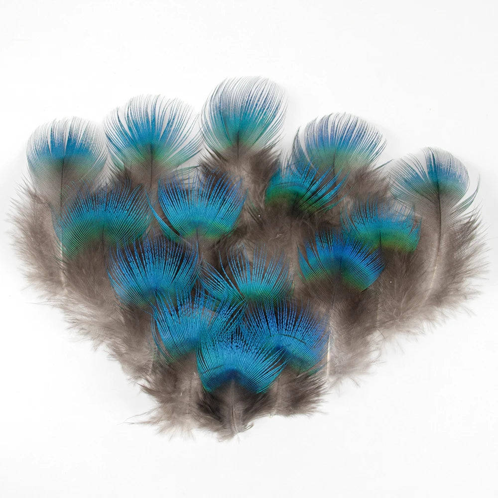 Peacock Feathers DIY Crafts 10/20/50/100PCS