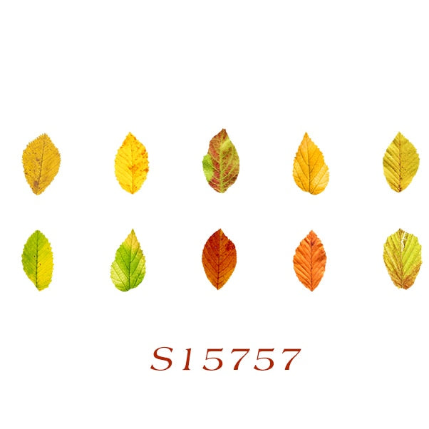 Fallen Leaves Stickers Washi Tape