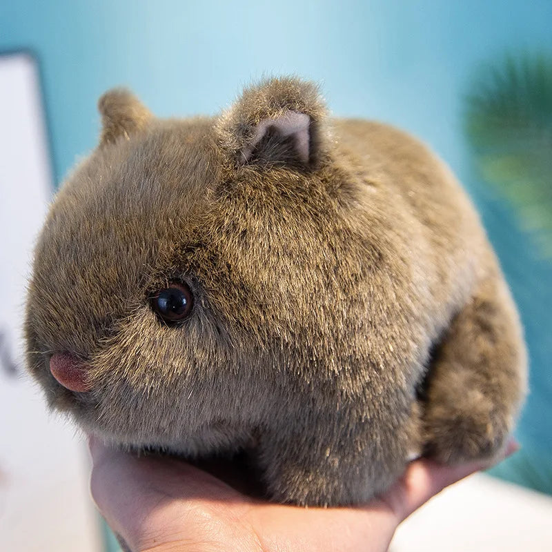 18/22/25cm Plush Wombat Plushie Toy