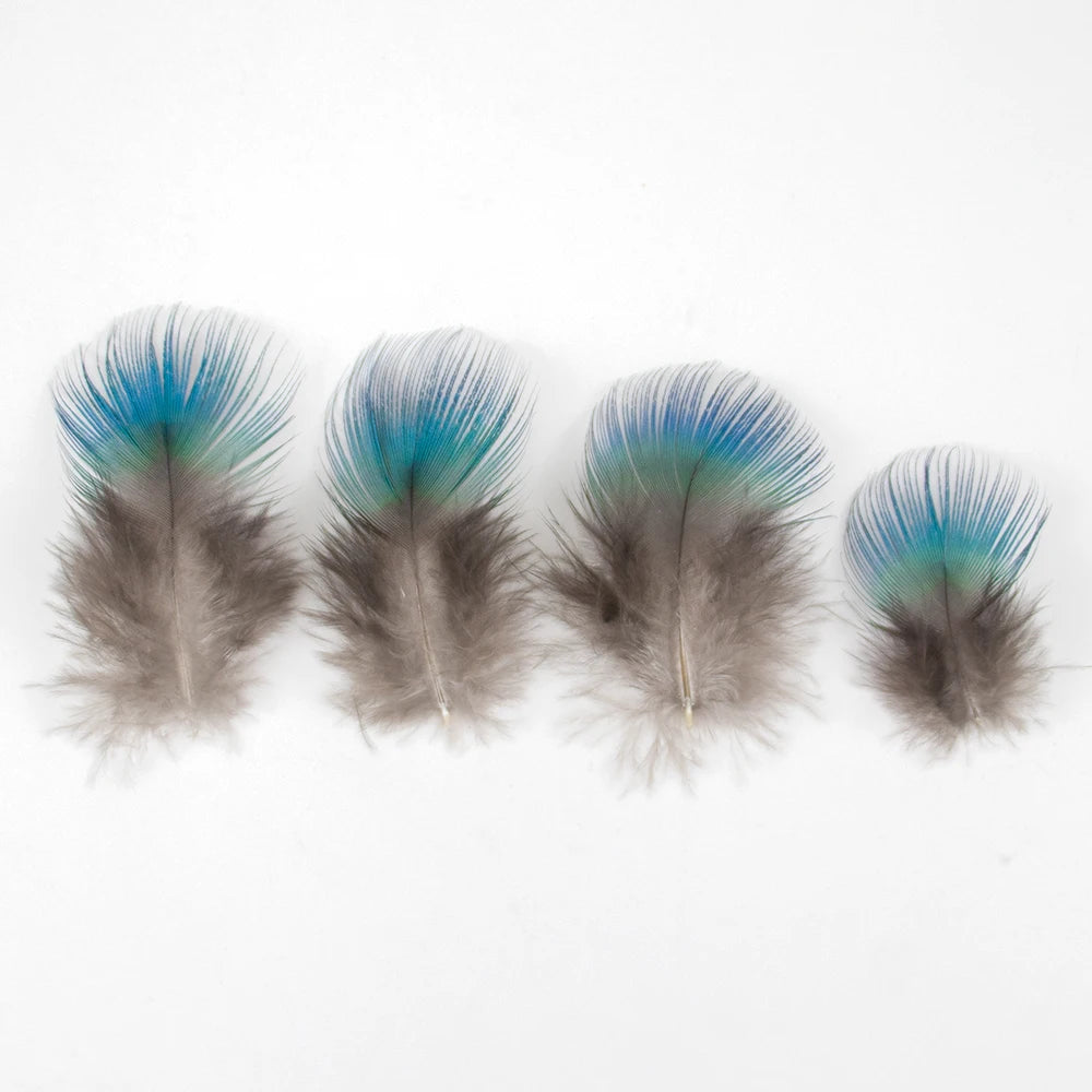 Peacock Feathers DIY Crafts 10/20/50/100PCS
