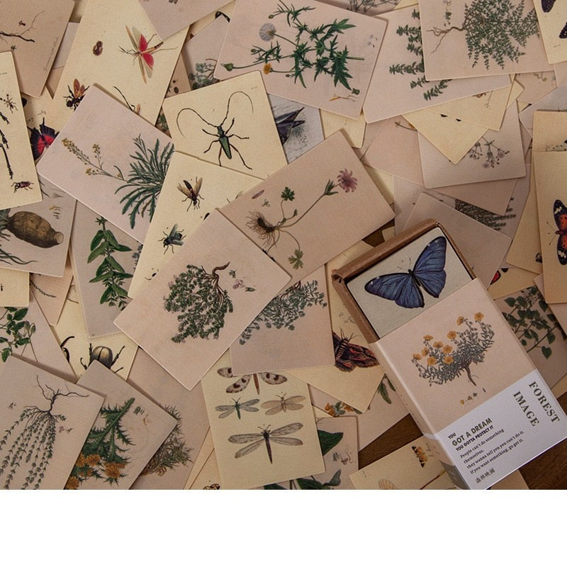 100pcs Vintage Plant Butterfly Kraft Paper Double-sided Note Cards