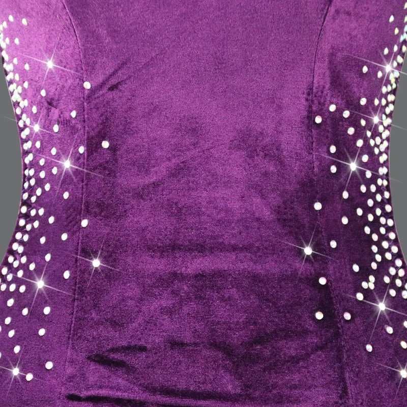 Purple Velvet Latin Dance Competition Bustle Dress Line Skirts Stage Costume