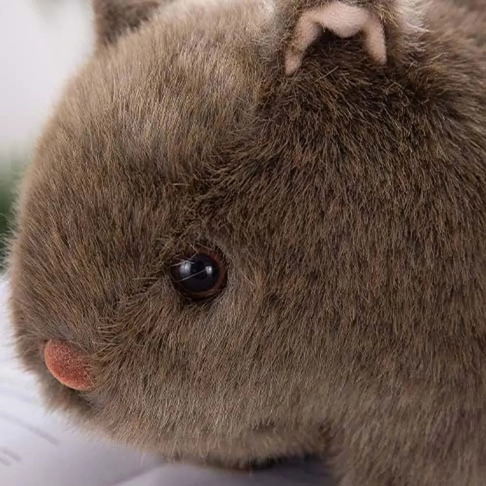 18/22/25cm Plush Wombat Plushie Toy