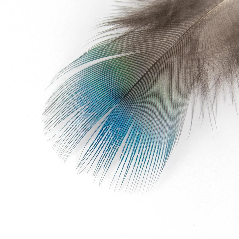 Peacock Feathers DIY Crafts 10/20/50/100PCS