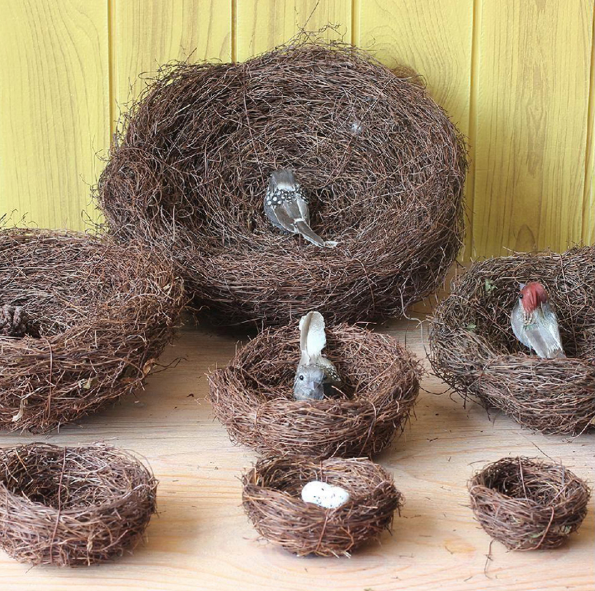 Bird Nests Decor and Props