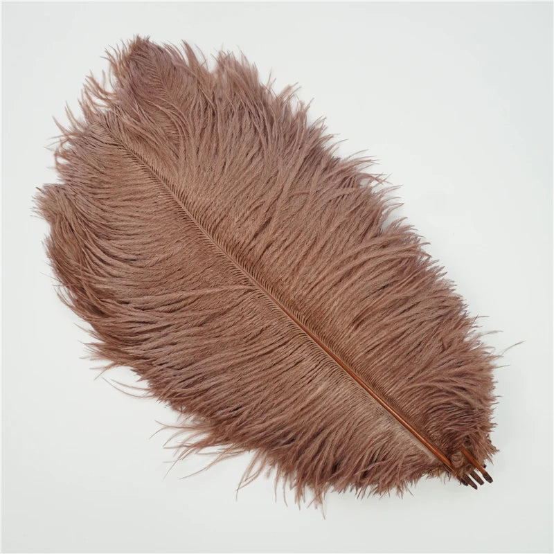 10Pcs/Lot Ostrich Feathers 30-50cm DIY Crafts