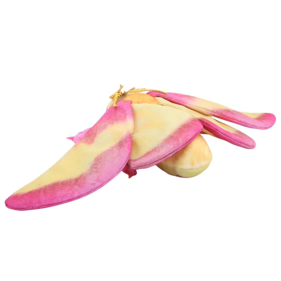 Cute Luna Moth and Rosy Maple Moth Plush Toys Soft Stuffed Animal Plushie for Insect Lovers Gift Idea