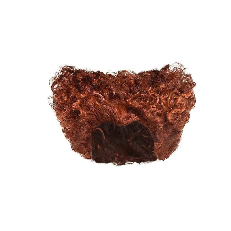 Hocus Pocus 2 Halloween Costume Child Sanderson Sisters Party Dresses Winifred Witch Costumes Children