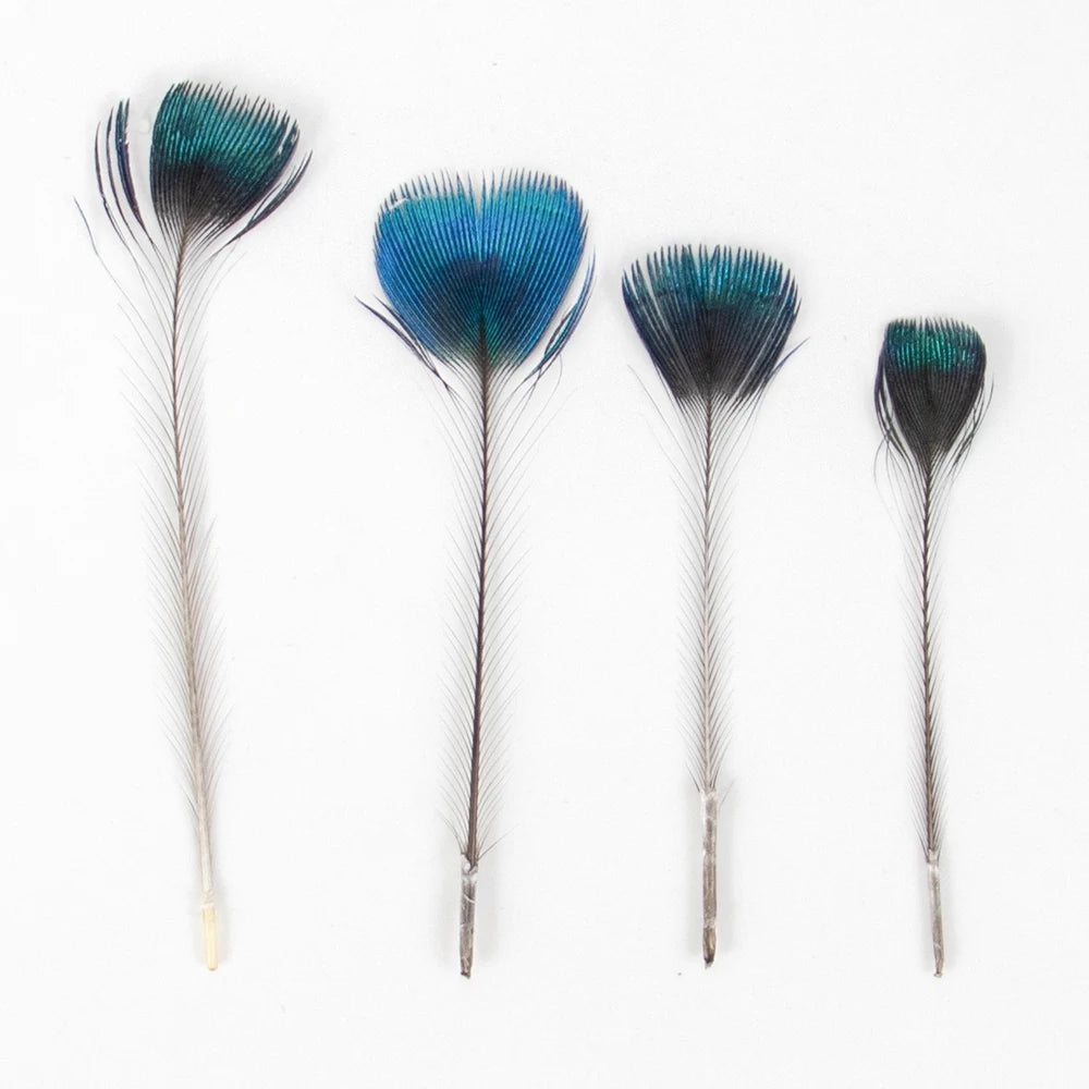 Peacock Feathers DIY Crafts 10/20/50/100PCS