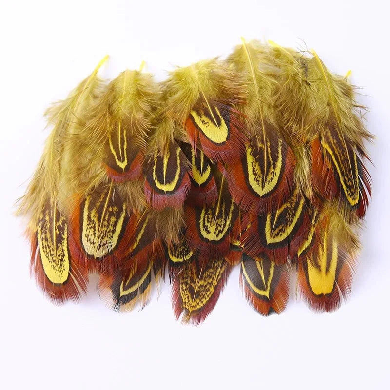 100Pcs Pheasant Chicken Feathers for DIY Crafts
