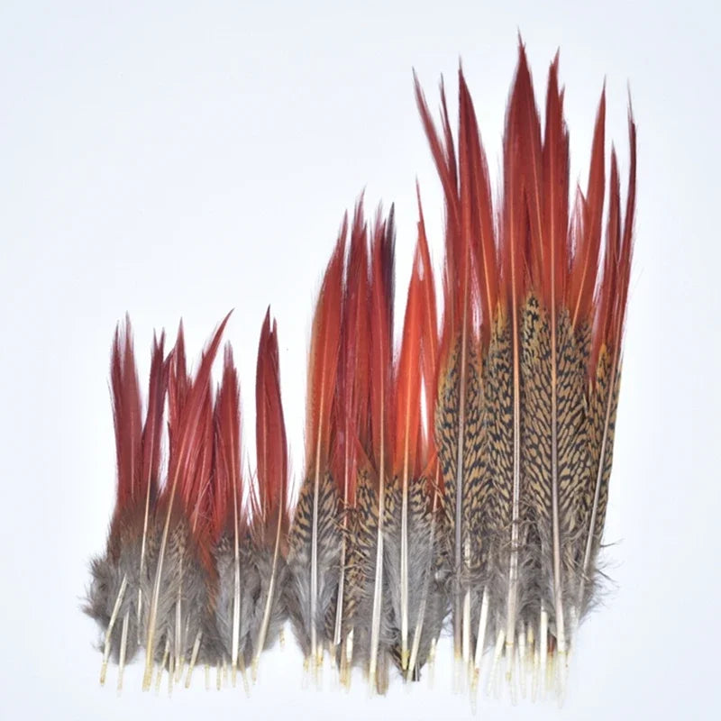 Natural Pheasant Feathers 5~25cm/2-10" DIY Crafts