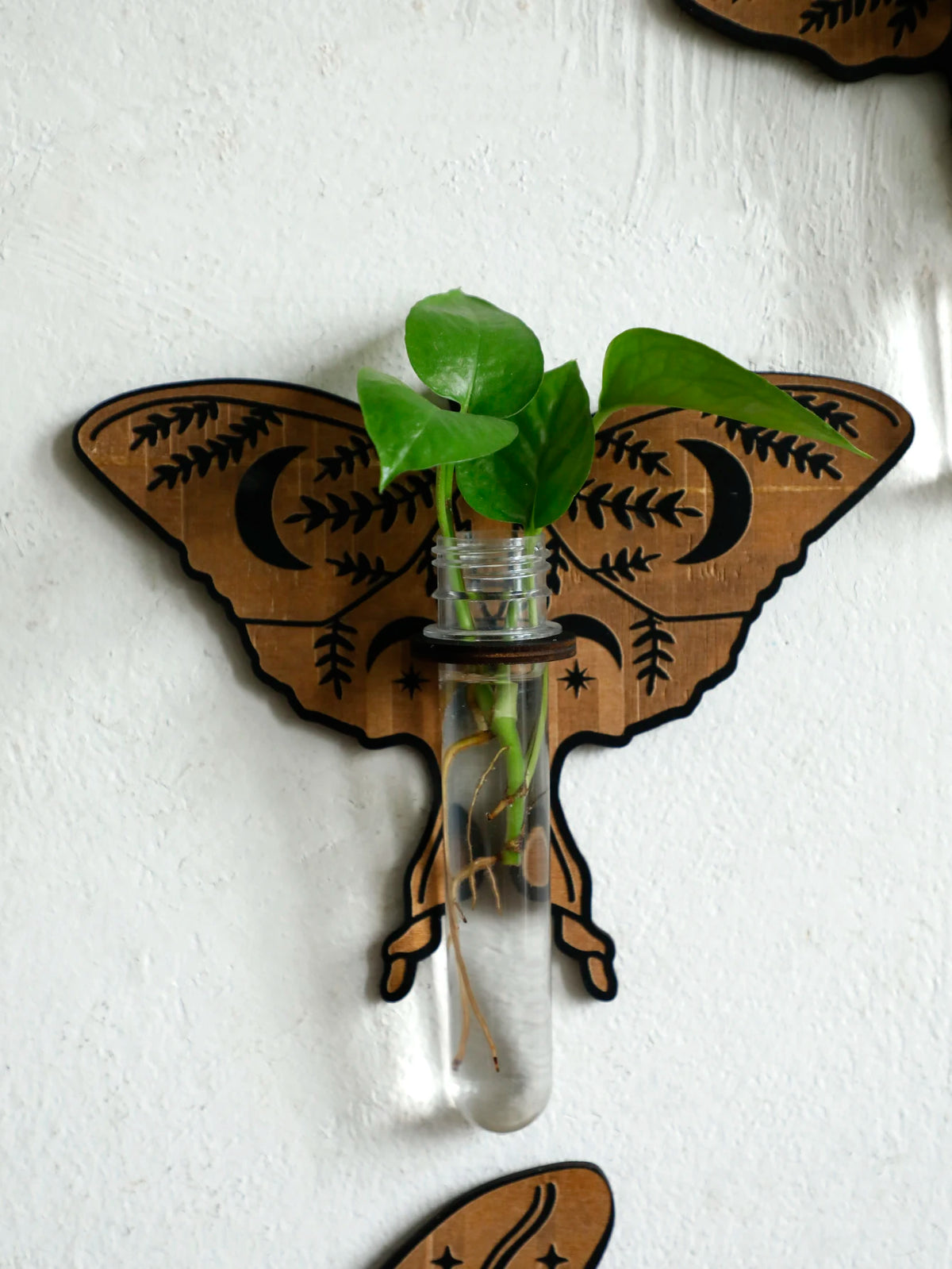 Butterfly Wall-Mounted Propagation Station Wooden Hanging Plant Holder with Plastic Tubes for Indoor Plants