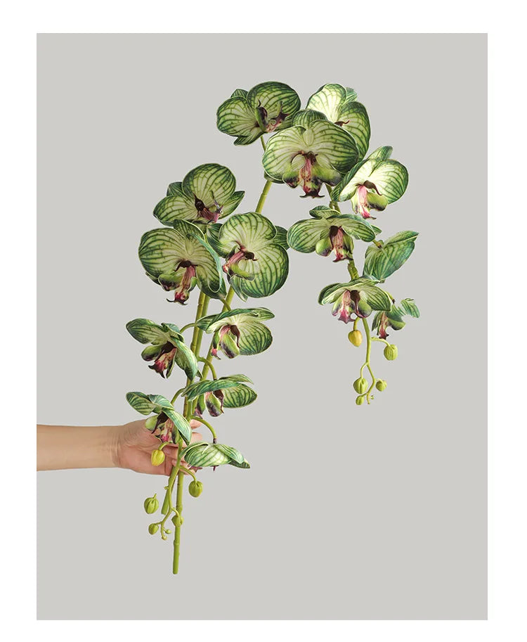 1 Stem Artificial Moth Orchid Butterfly Flower